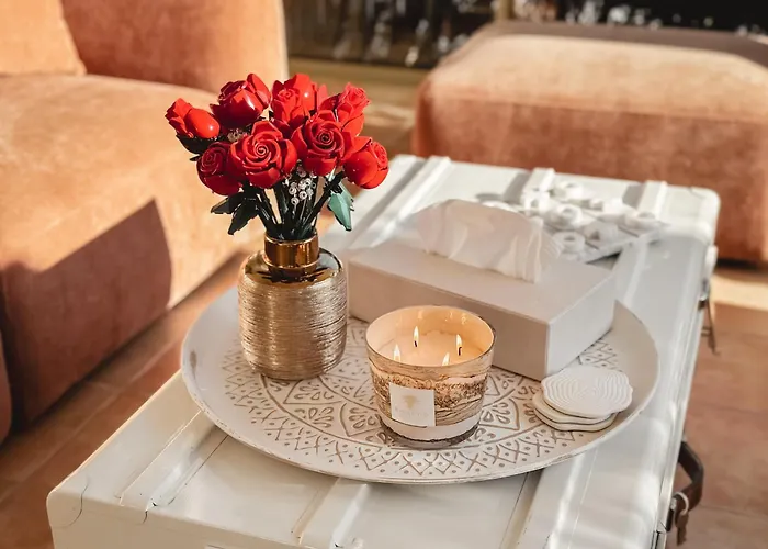 Lv House & Gardens Carcassonne